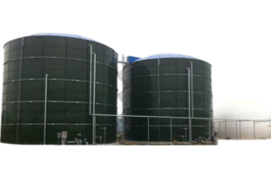 Untitled-design-cng-300x201